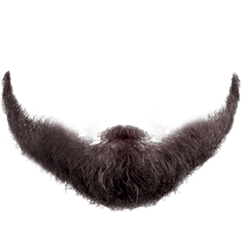beard style png