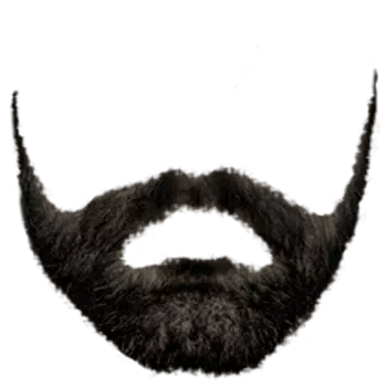 beard no background​