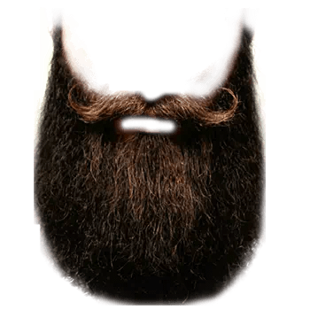 beard png transparent​ free