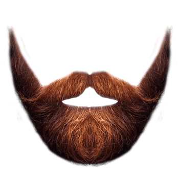 beard style png​