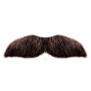 moustache beard png​