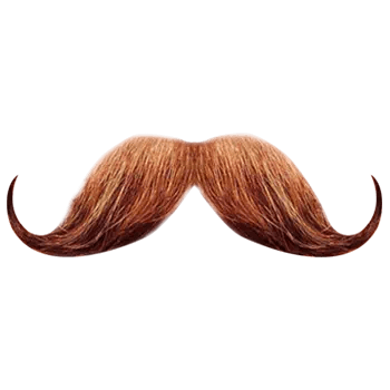 moustache beard transparent png​