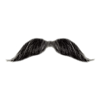 mustache and beard png​