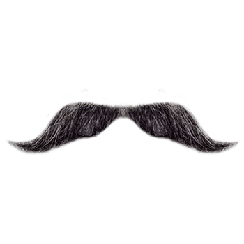 mustache beard png​