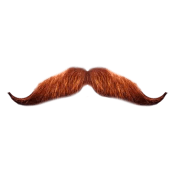 mustache png​