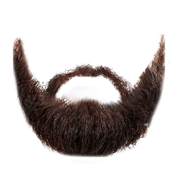 pic of beard​