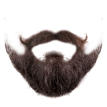 picture of beards​
