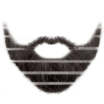 realistic beard png​