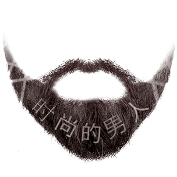 realistic white beard png​