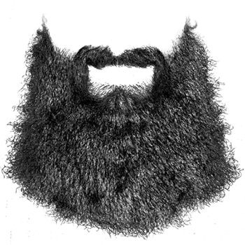 santa beard transparent png​ free