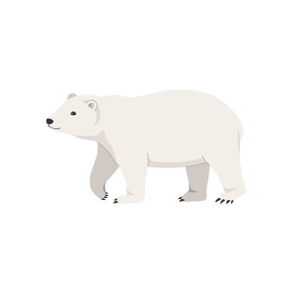polar bear png high resolution